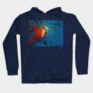 Red Snapper in Red Coral Hoodie